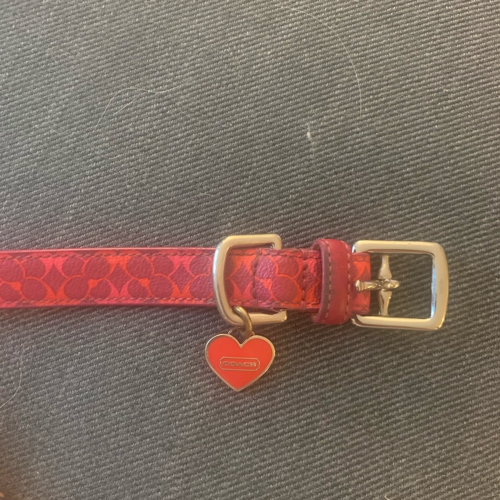 Coach Dog Collar